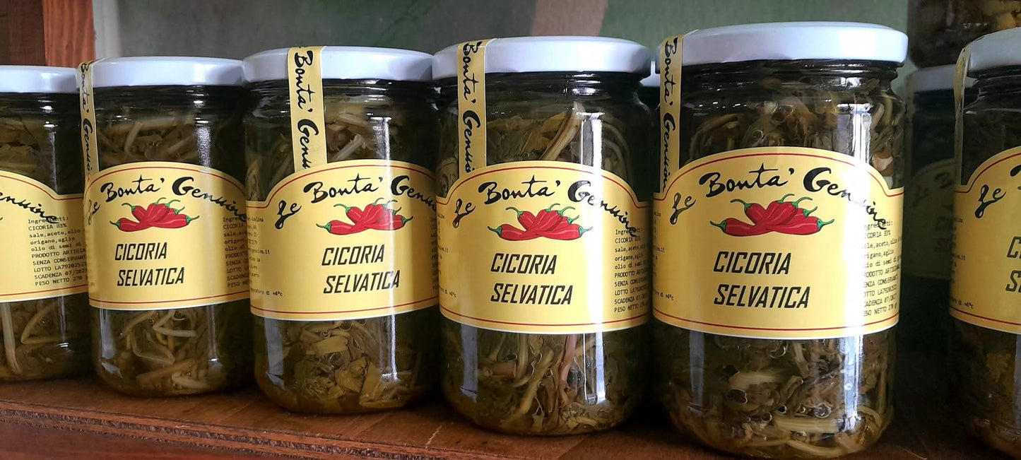 Cicoria selvatica sott'olio